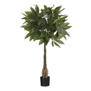 Pachira Kunstplant – 80/120/150 cm