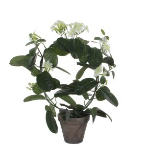 Stephanotis Kunstplant – 50 cm – Witte Bruidsbloem