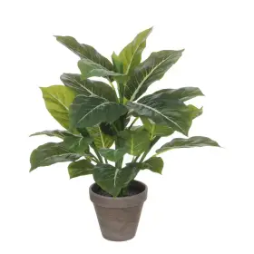 Evergreen Kunstplant – 49 cm