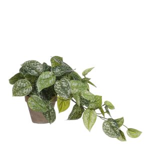 Scindapsus Kunstplant