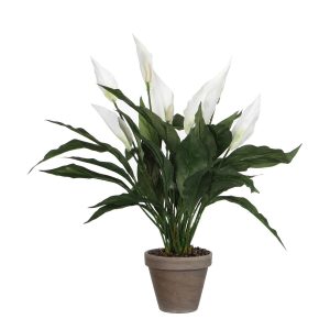 Spathiphyllum Kunstplant – 50 cm