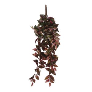 Tradescantia Kunst hangplant