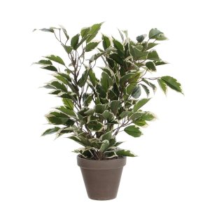 Ficus Natasja Kunstplant – 40 cm