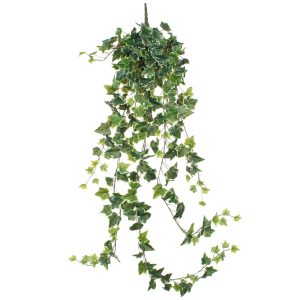 Hedera kunst hangplant