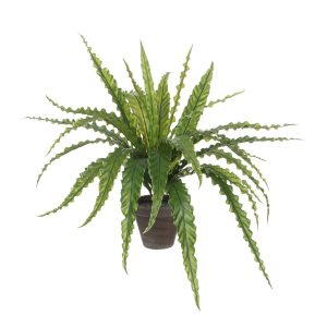 Asplenium Kunstplant – 50 cm