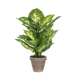 Dieffenbachia kunstplant klein