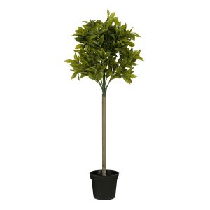 Laurierboom Kunstplant – 120 cm